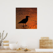 Koper Sunset Poster (Keuken)