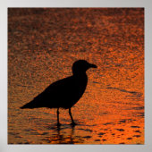 Koper Sunset Poster (Voorkant)