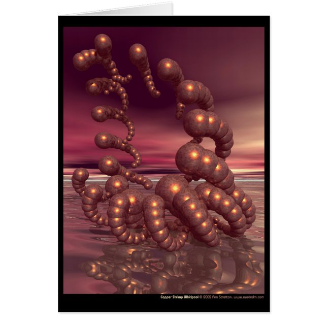 Kopergarnaal Whirlpool (Voorkant)