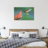 Koperkopsmaragd, Elvira cupreiceps, Canvas Afdruk (Insitu (Slaapkamer))