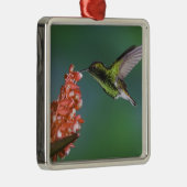 Koperkopsmaragd, Elvira cupreiceps, Metalen Ornament (Rechts)