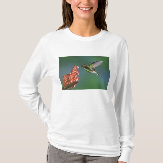 Koperkopsmaragd, Elvira cupreiceps, T-shirt (Voorkant)