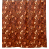 Kopermunten Douchegordijn (Voorkant)