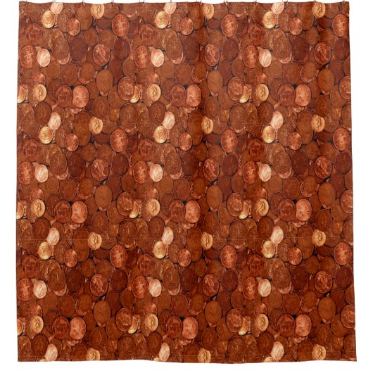 Kopermunten Douchegordijn (Voorkant)