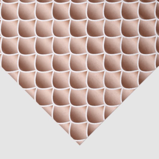 Koperslangen Tissuepapier (Detail)