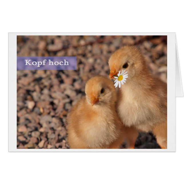 Kopf hoch (Voorkant Horizontaal)