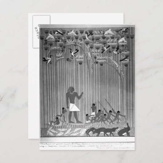 Kopie van Egyptisch schilderd reliëf dat Vist Briefkaart (Voorkant / Achterkant)