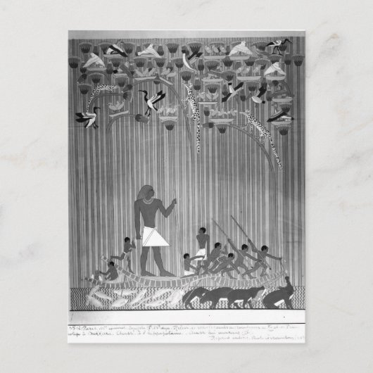 Kopie van Egyptisch schilderd reliëf dat Vist Briefkaart (Voorkant)