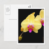 Kopie van gele orchideeën briefkaart (Voorkant / Achterkant)