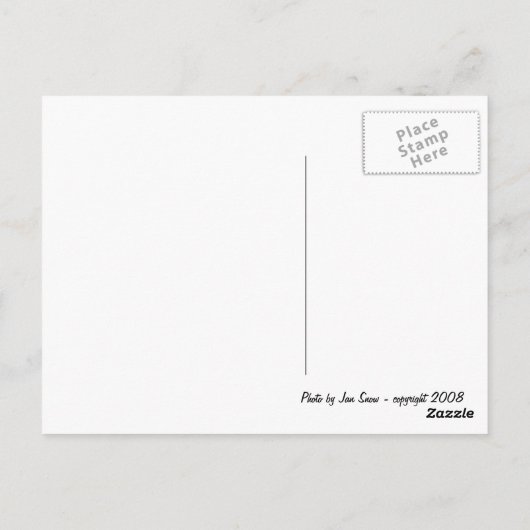 Kopie van gele orchideeën briefkaart (Achterkant)