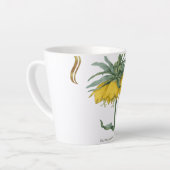 Kopje latte Fritillaria imperialis Mok (Linkerhoek)