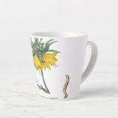 Kopje latte Fritillaria imperialis Mok (Rechterhoek)