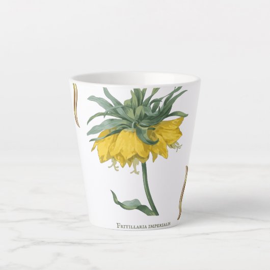 Kopje latte Fritillaria imperialis Mok (Voorkant)