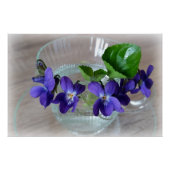 kopje violetten poster (Voorkant)