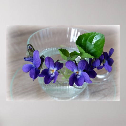 kopje violetten poster (Voorkant)