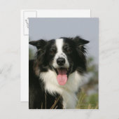 Kopje voor uiteinde uiteinde rand uitlijnen 1 briefkaart (Voorkant / Achterkant)