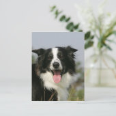 Kopje voor uiteinde uiteinde rand uitlijnen 1 briefkaart (Staand voorkant)