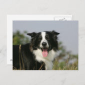 Kopje voor uiteinde uiteinde rand uitlijnen 1 briefkaart (Voorkant / Achterkant)