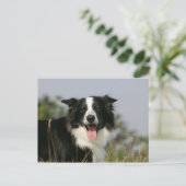 Kopje voor uiteinde uiteinde rand uitlijnen 1 briefkaart (Staand voorkant)