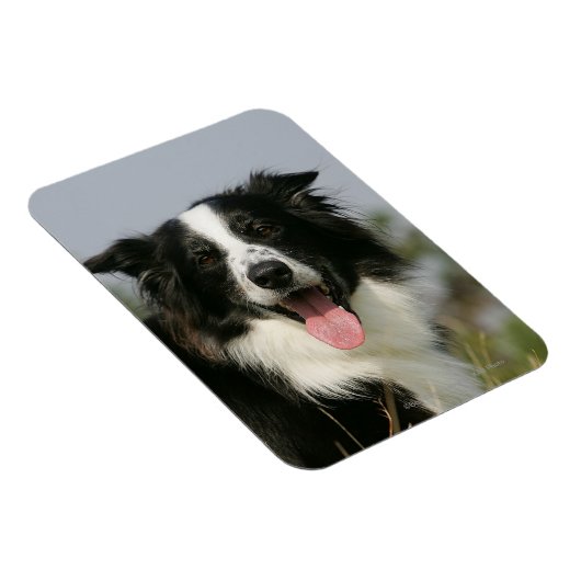 Kopje voor uiteinde uiteinde rand uitlijnen 1 magneet (Rechterzijde)