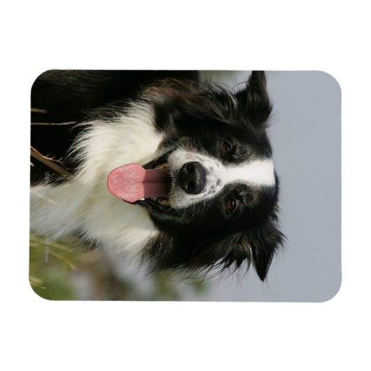 Kopje voor uiteinde uiteinde rand uitlijnen 1 magneet (Horizontaal)