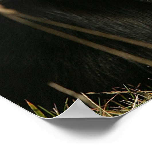 Kopje voor uiteinde uiteinde rand uitlijnen 1 poster (Hoek)