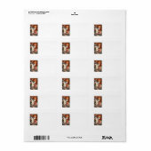 Koploze Ruiter Jack O Lantern Zwarte Kat Etiket (Full Sheet)