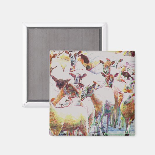 koppel 2011 magneet (Voorkant / Achterkant)