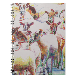 koppel 2011 notitieboek