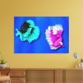 Koppel Betta Vissen, zwart & turquoise, wit & roze Canvas Afdruk (Insitu (Woonkamer))