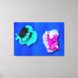 Koppel Betta Vissen, zwart & turquoise, wit & roze Canvas Afdruk