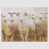 Koppel schapen Decoupage Tissuepapier (Voorkant)