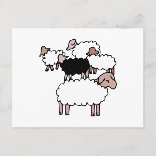 koppel schapen met zwarte schapen briefkaart