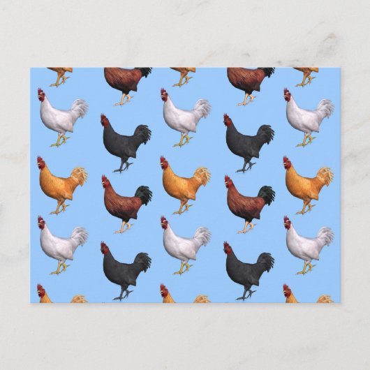 koppel van de roosters briefkaart (Voorkant)