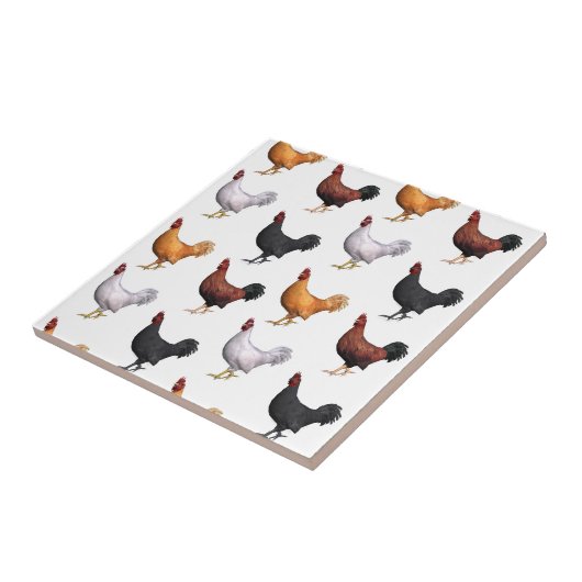 koppel van de roosters tegeltje (Zijkant)