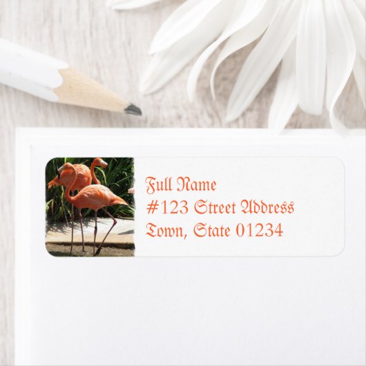Koppel van Flamingos Mailing Label (Insitu)