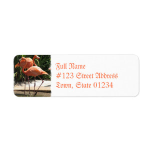Koppel van Flamingos Mailing Label