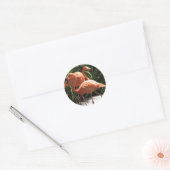 Koppel van Flamingos Stickers (Envelop)