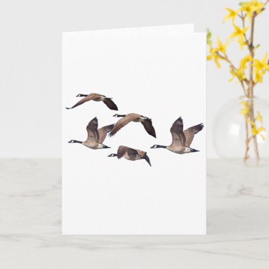 Koppel wilde ganzen kaart (Gele Bloem)