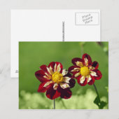 Koppelansichtkaart Briefkaart (Voorkant / Achterkant)