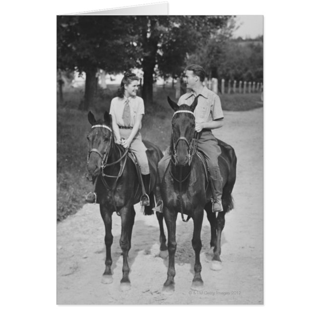 Koppelpaarden (Voorkant)