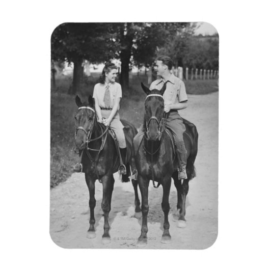 Koppelpaarden Magneet (Verticaal)