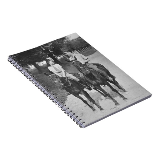 Koppelpaarden Notitieboek (Rechterzijde)