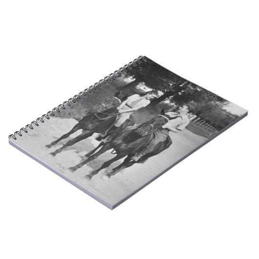 Koppelpaarden Notitieboek (Linkerzijde)