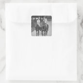 Koppelpaarden Vierkante Sticker (Tas)