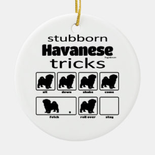 Koppige Trucs Havanese Keramisch Ornament
