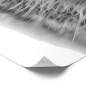 Kopportret kunst Coyote Zwart wit Poster (Hoek)