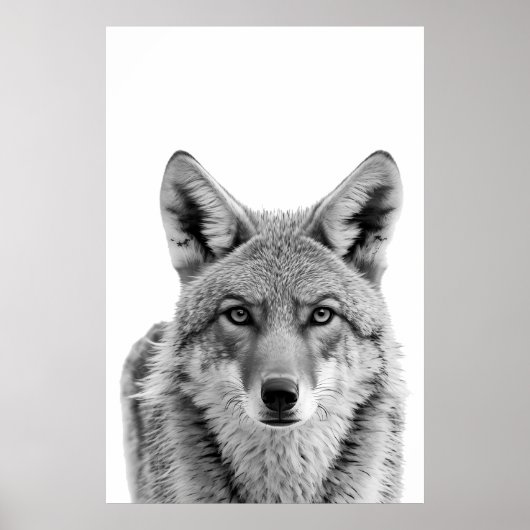 Kopportret kunst Coyote Zwart wit Poster (Voorkant)