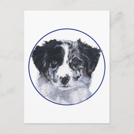 Kopstudie Border Collie Briefkaart (Voorkant)