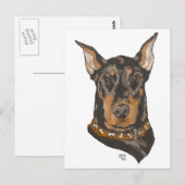 Kopstudie van Dobermann Briefkaart (Voorkant / Achterkant)